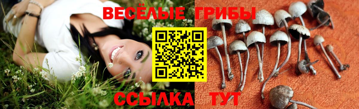 Псилоцибиновые грибы мухоморы Вятские Поляны
